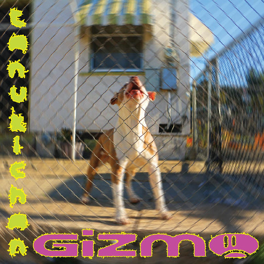Tanukichan - GIZMO