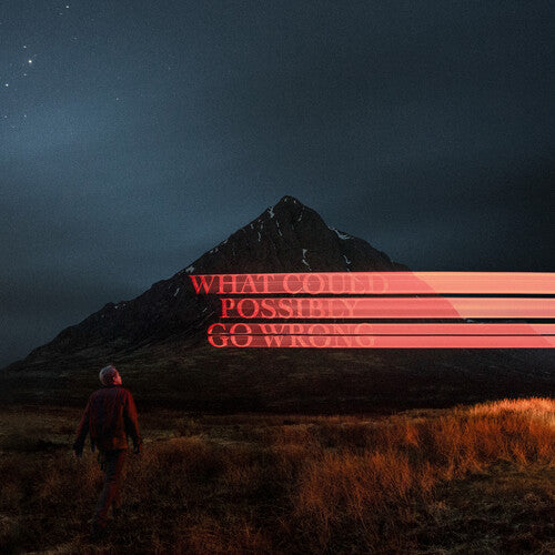 Fike, Dominic - What Could Possibly Go Wrong (140 Gram, Gatefold, Poster)