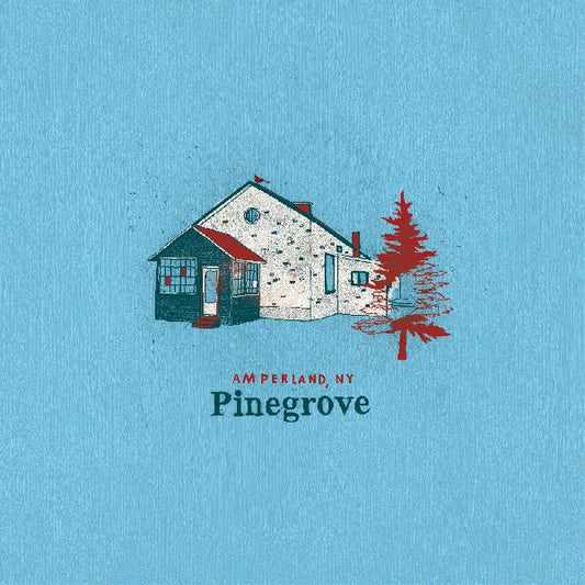 Pinegrove - Amperland, NY (Vinyl)