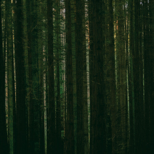 Paper Kites - Evergreen (Green Vinyl) (RSD 2024)