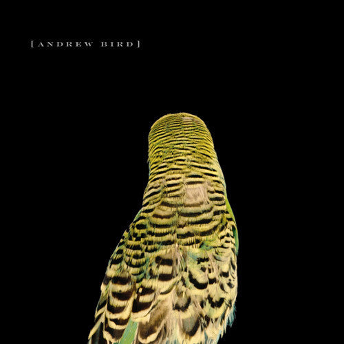Bird, Andrew - Armchair Apocrypha (CD)