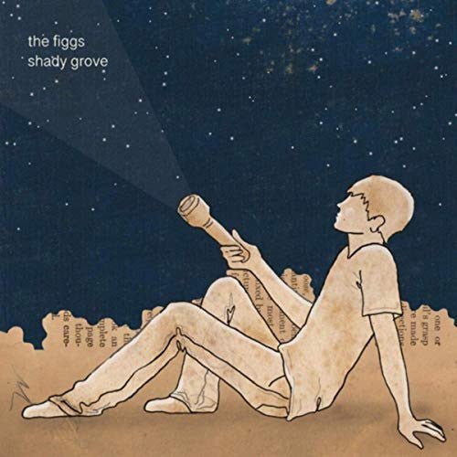Figgs, The - Shady Grove (3 x Vinyl) (Pre - Loved) - NM - Figgs, The - Shady Grove - Vinyl LP's - Yellow Racket Records