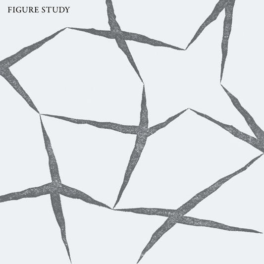 Figure Study - Figure Study (Pre - Loved) - VG+ - Figure Study - Figure Study - Vinyl LP's - Yellow Racket Records