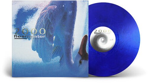 Fleshwater - 2000: In Search Of The Endless Sky (Blue Vinyl) - 731851219869 - Vinyl LP's - Yellow Racket Records
