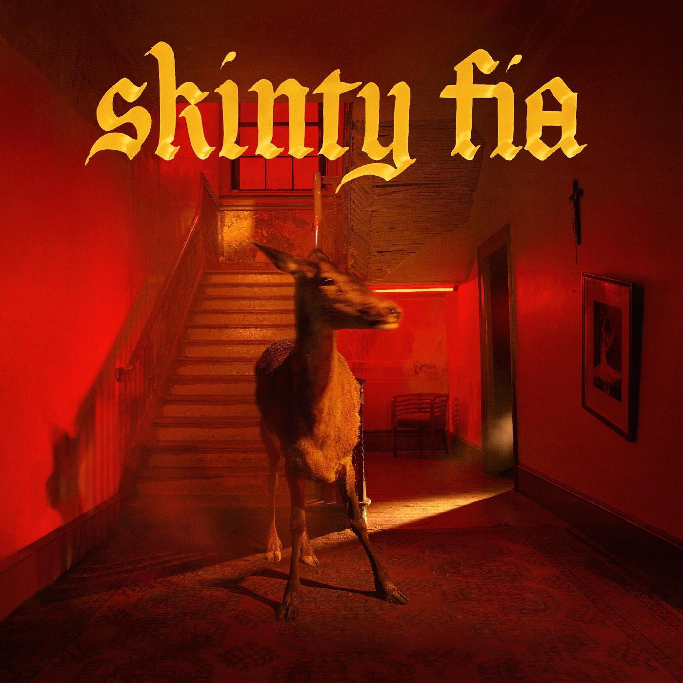 Fontaines D.C. - Skinty Fia (Deluxe Edition) - 720841301684 - Vinyl LP's - Yellow Racket Records