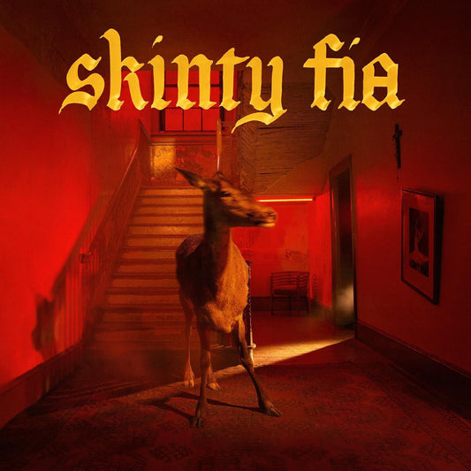 Fontaines D.C. - Skinty Fia (Deluxe Edition) - 720841301684 - Vinyl LP's - Yellow Racket Records