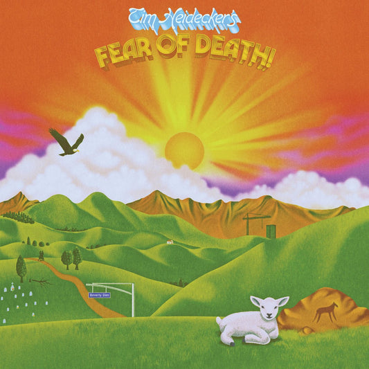 Heidecker, Tim - Fear Of Death (Sunshine Yellow Vinyl) - 708857325115 - Vinyl LP's - Yellow Racket Records