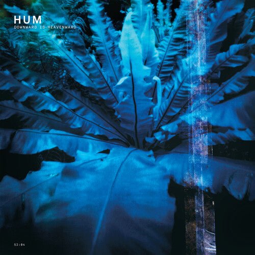 Hum - Downward Is Heavenward (Reissue) (CD) - 644110507020 - CD's - Yellow Racket Records