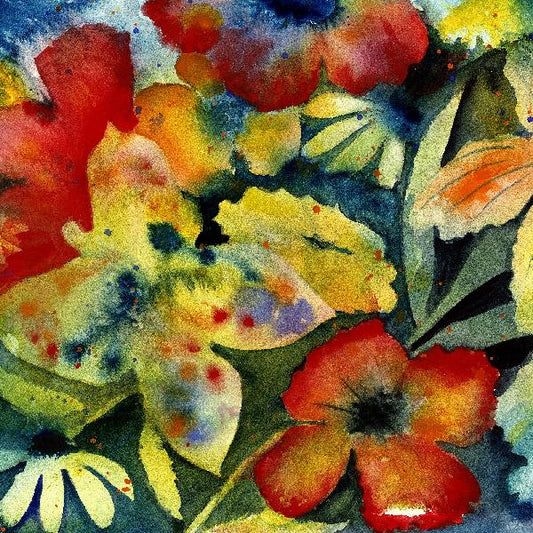 Lenker, Adrianne - Songs and Instrumentals (CD) - 191400030220 - CD's - Yellow Racket Records