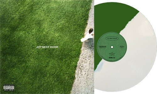 Maine, The - Joy Next Door (Green, White Vinyl) - 604675376042 - Vinyl LP's - Yellow Racket Records