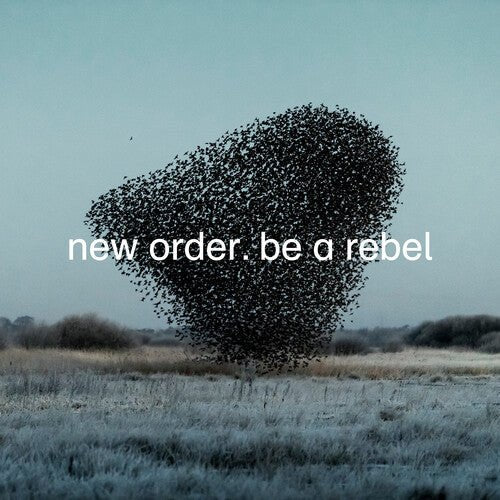 New Order - Be A Rebel (Limited Edition, Colored Vinyl, Gray) - 724596101711 - Vinyl LP's - Yellow Racket Records