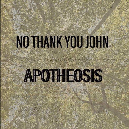 No Thank You John - Apotheosis (Vinyl) - N - No Thank You John - Apotheosis (Vinyl) - Vinyl LP's - Yellow Racket Records