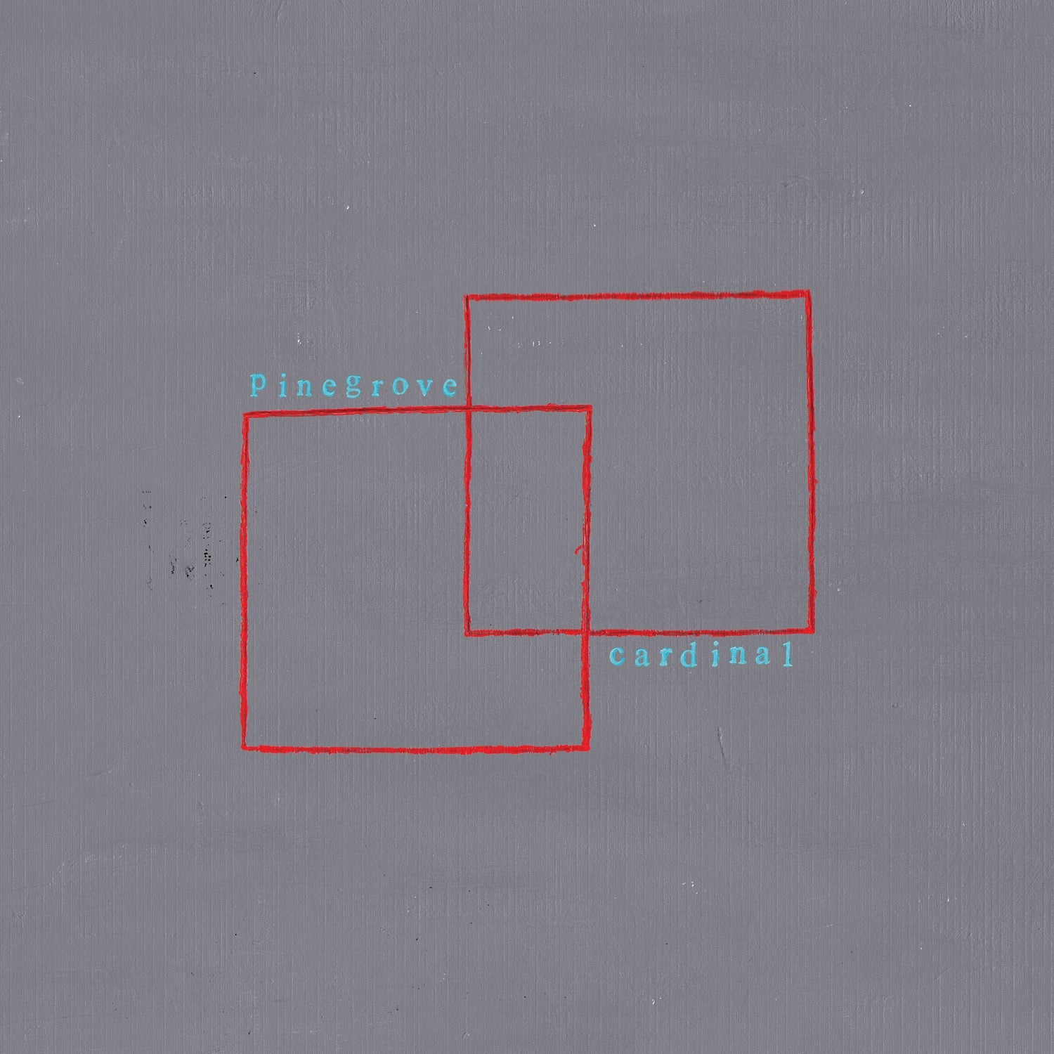 Pinegrove - Cardinal (CD) - 811774023597 - CD's - Yellow Racket Records