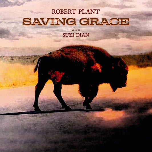 Plant, Robert - Saving Grace (CD) - 075597895384 - CD's - Yellow Racket Records