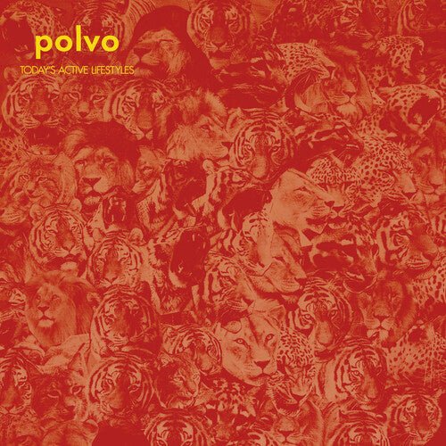 Polvo - Today's Active Lifestyles (Black, Digital Download, Reissue) - 673855004006 - Vinyl LP's - Yellow Racket Records