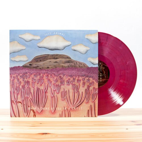 Post Animal - When I Think of You in a Castle (180 Gram, Color Vinyl) - 644110035110 - Vinyl LP's - Yellow Racket Records