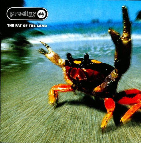 Prodigy - Fat of the Land (25th Anniversary Edition, 2LP, Silver Vinyl) - 634904212117 - Vinyl LP's - Yellow Racket Records