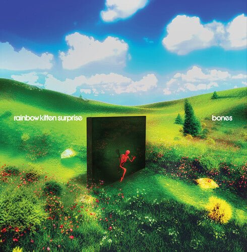 Rainbow Kitten Surprise - Bones (Banana Colored Vinyl, Indie Exclusive) - 075678596834 - Vinyl LP's - Yellow Racket Records