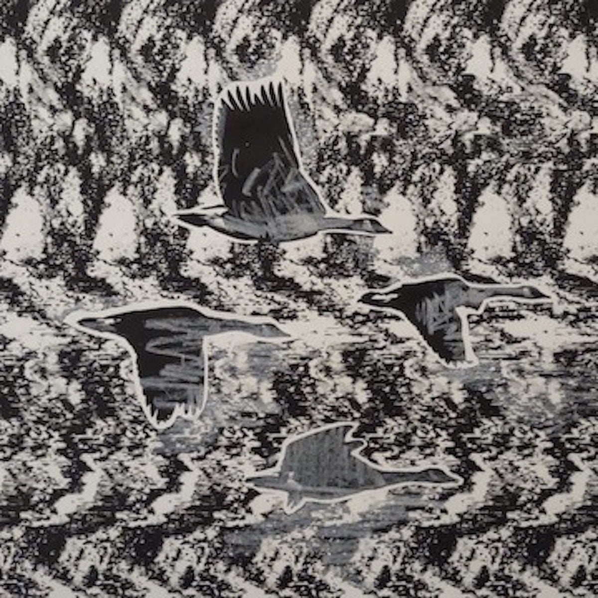 Slow Blink - Migration (CD) - N - Slow Blink - Migration - CD's - Yellow Racket Records