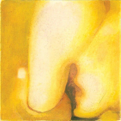 Smashing Pumpkins, The - Pisces Iscariot (180 Gram) - 602475420934 - Vinyl LP's - Yellow Racket Records