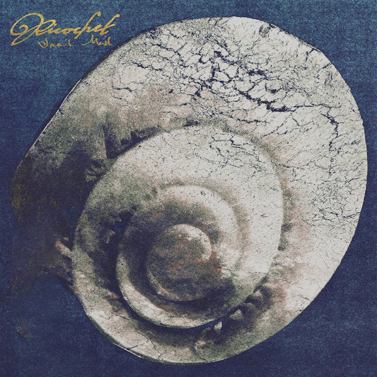 Snail Mail - Ricochet (Black Vinyl) - 191401220910 - Vinyl LP's - Yellow Racket Records