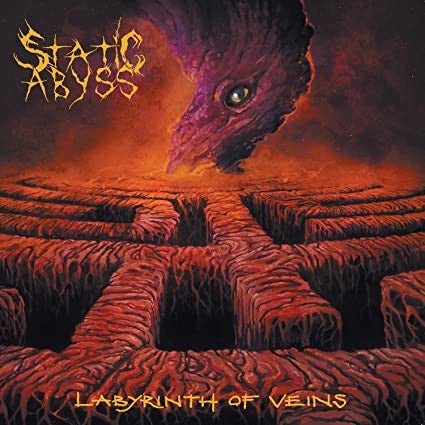 Static Abyss - Labyrinth Of Veins (Pre - Loved) - VG+ - Static Abyss - Labyrinth Of Veins - Vinyl LP's - Yellow Racket Records