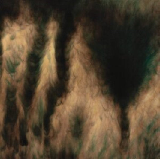 Basinski, William - Lamentations