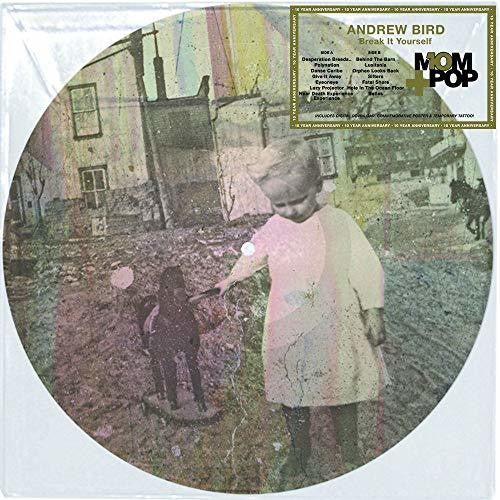 Bird, Andrew - Break It Yourself (Picture Disc)  (Digital Download)