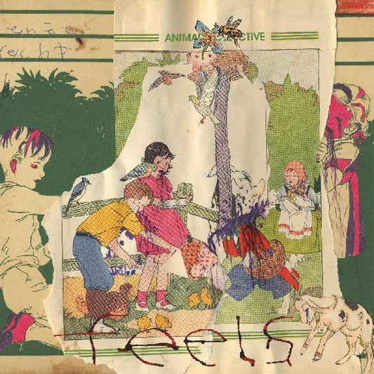 Animal Collective - Feels