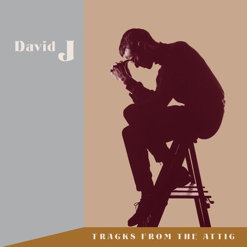 David J - Tracks From The Attic (RSD Black Friday 2023)