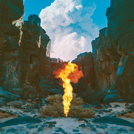 Bonobo - Migration (180 Gram)