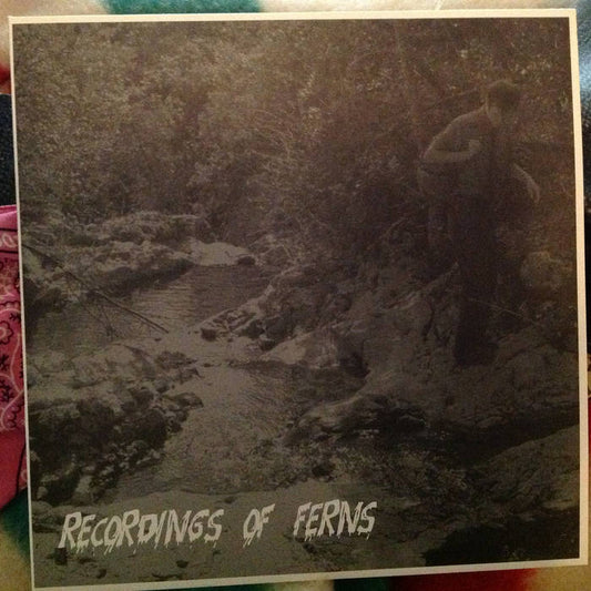 Big Kitty - Recordings of Ferns