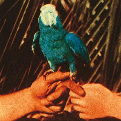Bird, Andrew - Are You Serious