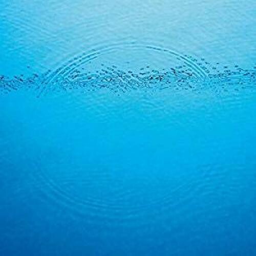 Caribou - Suddenly (Black, Digital Download)