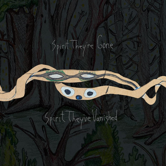 Animal Collective - Spirit They're Gone, Spirit They've Vanished (Remastered 2023, Indie Exclusive, Grass Green Vinyl)