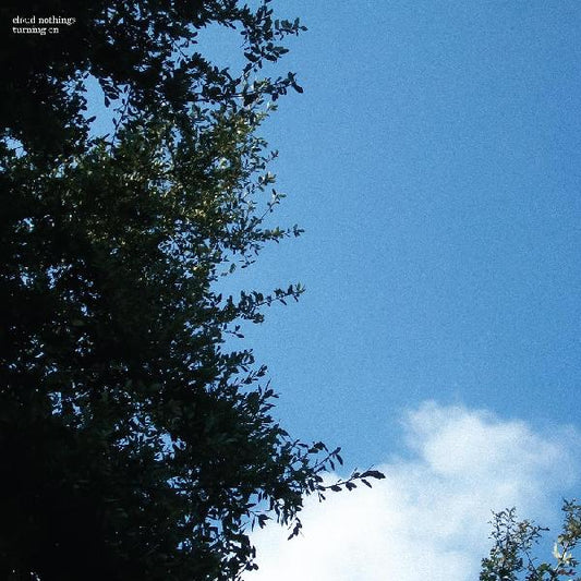 Cloud Nothings - Turning On (Vinyl)