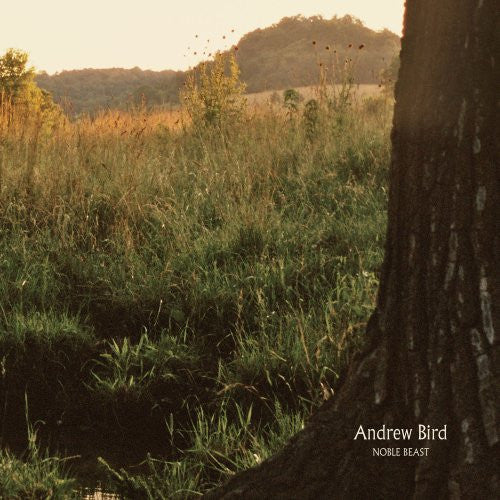 Bird, Andrew - Noble Beast