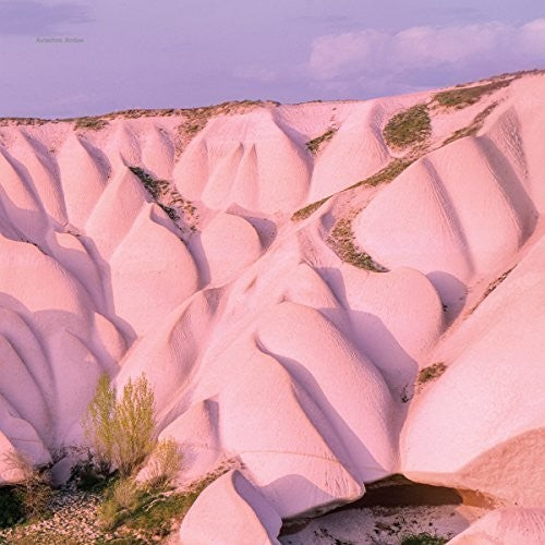 Autechre - Amber (Gatefold, Digital Download)