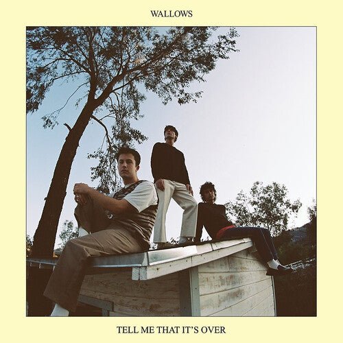 Wallows - Tell Me That It's Over (Festival Merch) - FM075678639364 - Vinyl LP's - Yellow Racket Records